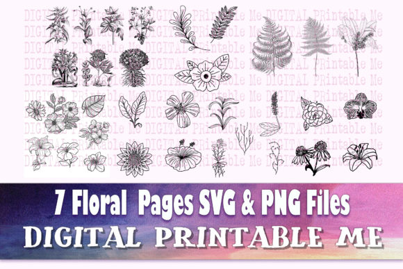 Download Floral Illustration Flower Page Pack - Floral illustration Collection